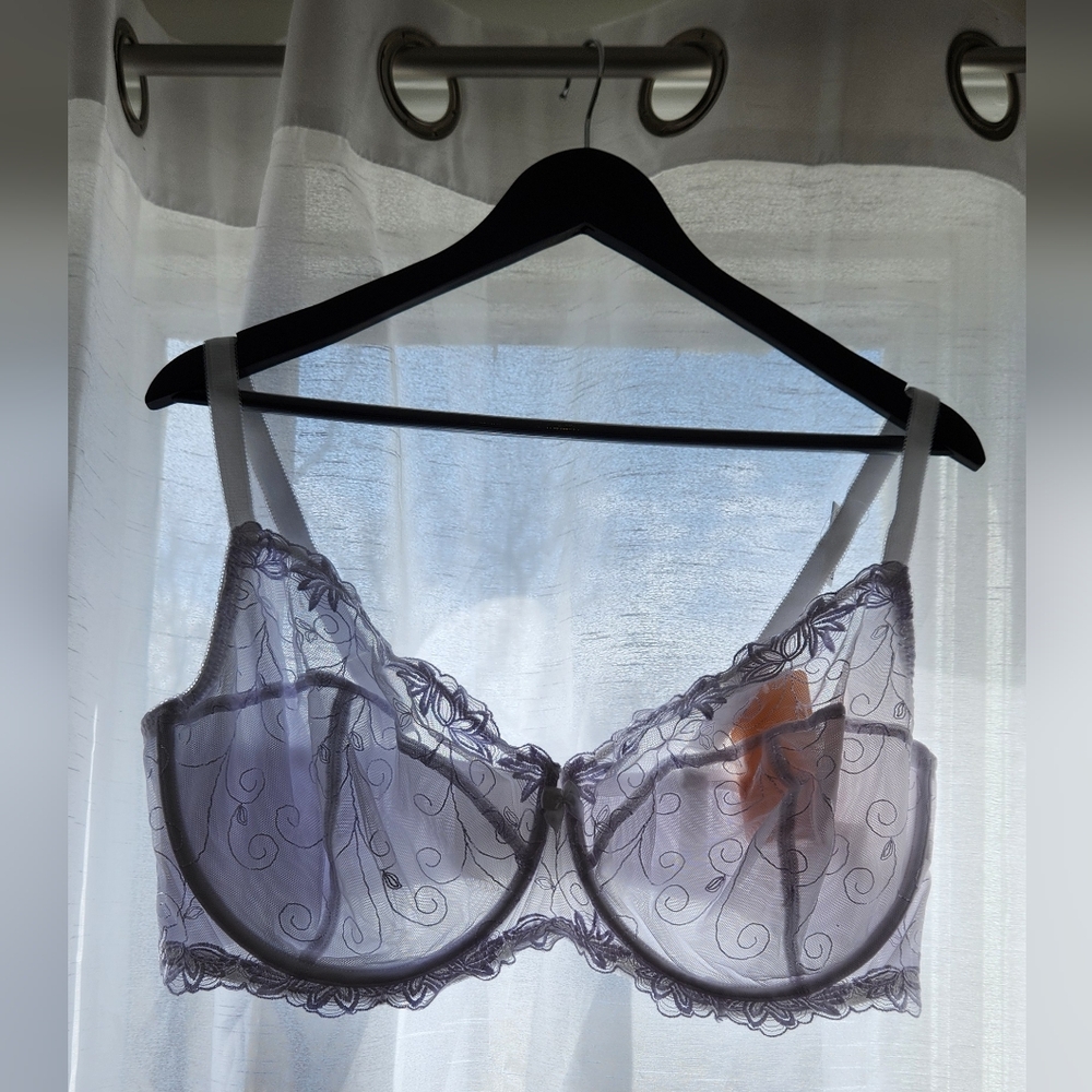 NWT Wingslove Lace Bra